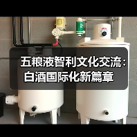 五粮液智利文化交流：白酒国际化新篇章