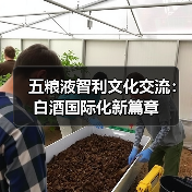五粮液智利文化交流:白酒国际化新篇章(图4) 五粮液智利文化交流:白酒国际化新篇章(图4)