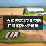五粮液智利文化交流:白酒国际化新篇章(图3) 五粮液智利文化交流:白酒国际化新篇章(图3)