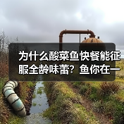 为什么酸菜鱼快餐能征服全龄味蕾?鱼你在一起的成功秘诀(图4) 为什么酸菜鱼快餐能征服全龄味蕾?鱼你在一起的成功秘诀(图4)