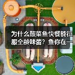 为什么酸菜鱼快餐能征服全龄味蕾？鱼你在一起的成功秘诀