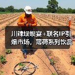 川辣坝坝宴+联名IP引爆市场,薄荷系列饮品热卖150万杯(图3) 川辣坝坝宴+联名IP引爆市场,薄荷系列饮品热卖150万杯(图3)
