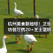 杭州美食新地标!芝乐坊餐厅携20+芝士蛋糕登陆万象城(图4) 杭州美食新地标!芝乐坊餐厅携20+芝士蛋糕登陆万象城(图4)