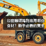 印度咖喱鸡到底用哪些食材?新手必看的黄金搭配清单!(图4) 印度咖喱鸡到底用哪些食材?新手必看的黄金搭配清单!(图4)