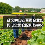 餐饮供应链百强企业如何以全国仓配和数字化升级引领行业？（图4）