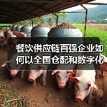 餐饮供应链百强企业如何以全国仓配和数字化升级引领行业？