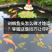 剁椒鱼头怎么做才地道?掌握这些技巧让你秒变大厨!(图2) 剁椒鱼头怎么做才地道?掌握这些技巧让你秒变大厨!(图2)