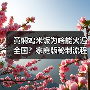 黄焖鸡米饭为啥能火遍全国？家庭版秘制流程大公开！（图4）