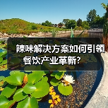 辣味解决方案如何引领餐饮产业革新？（图3）