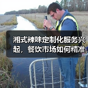 湘式辣味定制化服务兴起，餐饮市场如何精准匹配多元需求？（图4）