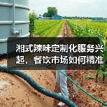 湘式辣味定制化服务兴起，餐饮市场如何精准匹配多元需求？（图2）