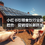 小红书引领食饮行业新趋势：营销增长新阵地分析（图2）
