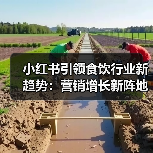 小红书引领食饮行业新趋势：营销增长新阵地分析（图4）