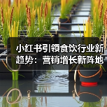 小红书引领食饮行业新趋势：营销增长新阵地分析（图3）