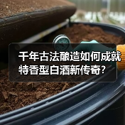 千年古法酿造如何成就特香型白酒新传奇？（图3）
