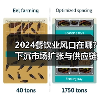 2024餐饮业风口在哪？下沉市场扩张与供应链闭环构建成关键（图3）