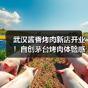 武汉酱香烤肉新店开业！自创茅台烤肉体验感十足，适合约会聚餐的好去处（图4）