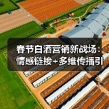 春节白酒营销新战场：情感链接+多维传播引爆市场