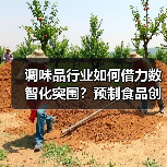 调味品行业如何借力数智化突围？预制食品创新引领未来趋势