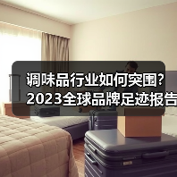 调味品行业如何突围?2023全球品牌足迹报告揭示增长密码(图3) 调味品行业如何突围?2023全球品牌足迹报告揭示增长密码(图3)