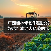 广西桂林米粉哪里批发好吃?本地人私藏的宝藏地大公开!(图1) 广西桂林米粉哪里批发好吃?本地人私藏的宝藏地大公开!(图1)