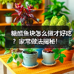 糖醋鱼块怎么做才好吃？家常做法揭秘！