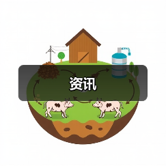 资讯