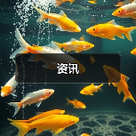 资讯(图4) 资讯(图4)