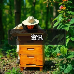 资讯