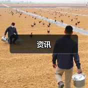 资讯
