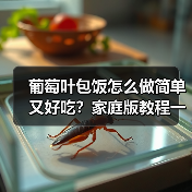 家庭版葡萄叶包饭教程：轻松掌握健康美味-哉互尼烹饪网