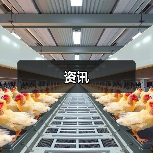 中国茶如何征服世界年轻人？茶乙己品牌升级引领国潮-哉互尼烹饪网
