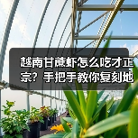 越南甘蔗虾怎么吃才正宗?手把手教你复刻地道东南亚风味!(图3) 越南甘蔗虾怎么吃才正宗?手把手教你复刻地道东南亚风味!(图3)