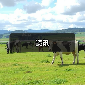 资讯
