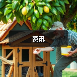 资讯