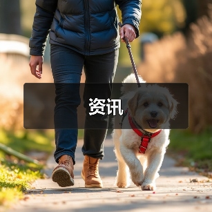 资讯
