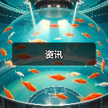 资讯(图3) 资讯(图3)