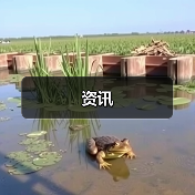 资讯