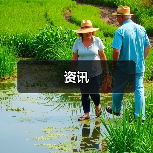 资讯(图2) 资讯(图2)
