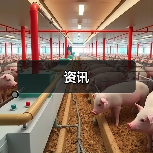 资讯