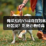 梅菜扣肉VS咸烧白到底啥区别?吃货必看经典名菜对决!(图3) 梅菜扣肉VS咸烧白到底啥区别?吃货必看经典名菜对决!(图3)