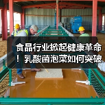 食品行业掀起健康革命！乳酸菌泡菜如何突破亚硝酸盐瓶颈？（图4）