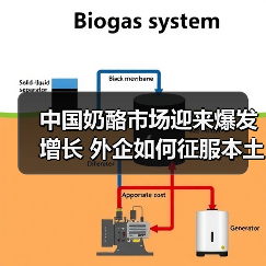 中国奶酪市场迎来爆发增长 外企如何征服本土味蕾?(图4) 中国奶酪市场迎来爆发增长 外企如何征服本土味蕾?(图4)