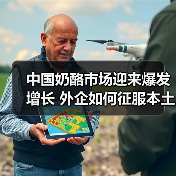 中国奶酪消费升温：从陌生到热爱的味蕾之旅-哉互尼烹饪网
