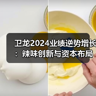 卫龙2024业绩逆势增长:辣味创新与资本布局引领行业变革(图4) 卫龙2024业绩逆势增长:辣味创新与资本布局引领行业变革(图4)
