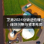 卫龙2024业绩逆势增长:辣味创新与资本布局引领行业变革(图2) 卫龙2024业绩逆势增长:辣味创新与资本布局引领行业变革(图2)