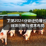 卫龙2024业绩逆势增长:辣味创新与资本布局引领行业变革(图3) 卫龙2024业绩逆势增长:辣味创新与资本布局引领行业变革(图3)