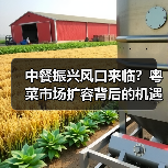 中餐振兴风口来临？粤菜市场扩容背后的机遇与挑战