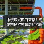 中餐振兴风口来临?粤菜市场扩容背后的机遇与挑战(图2) 中餐振兴风口来临?粤菜市场扩容背后的机遇与挑战(图2)