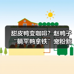 甜皮鸭变咖啡？赵鸭子“躺平鸭拿铁”宠粉新招引热议